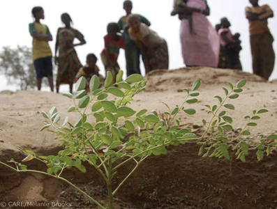 Care sahel spenden afrika