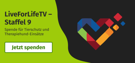LiveForLifeTV – Staffel 9. Spende für Tierschutz und Therapiehund-Einsätze. Jetzt spenden