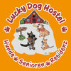 Gemeinnütziger Tierschutzverein "Lucky Dog Hostel"