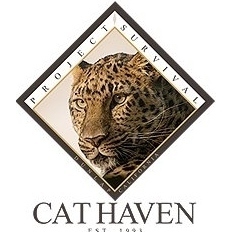 Project Survival 39 S Cat Haven Donate To Our Organisation
