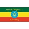 Freunde Äthiopiens eV Bad Driburg