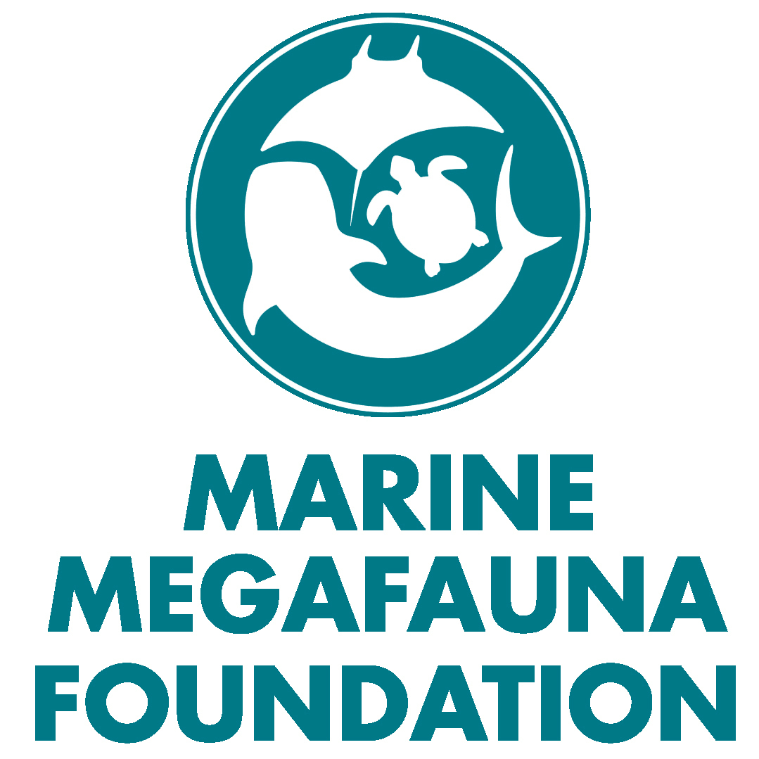 Marine Megafauna Foundation: Donate to our organisation (betterplace.org)