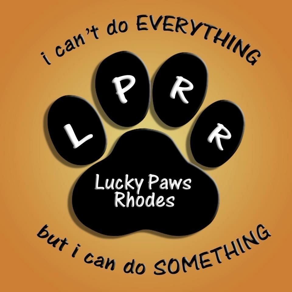  Lucky  Paws Animal  Rescue  Rhodos Spende f r unsere 