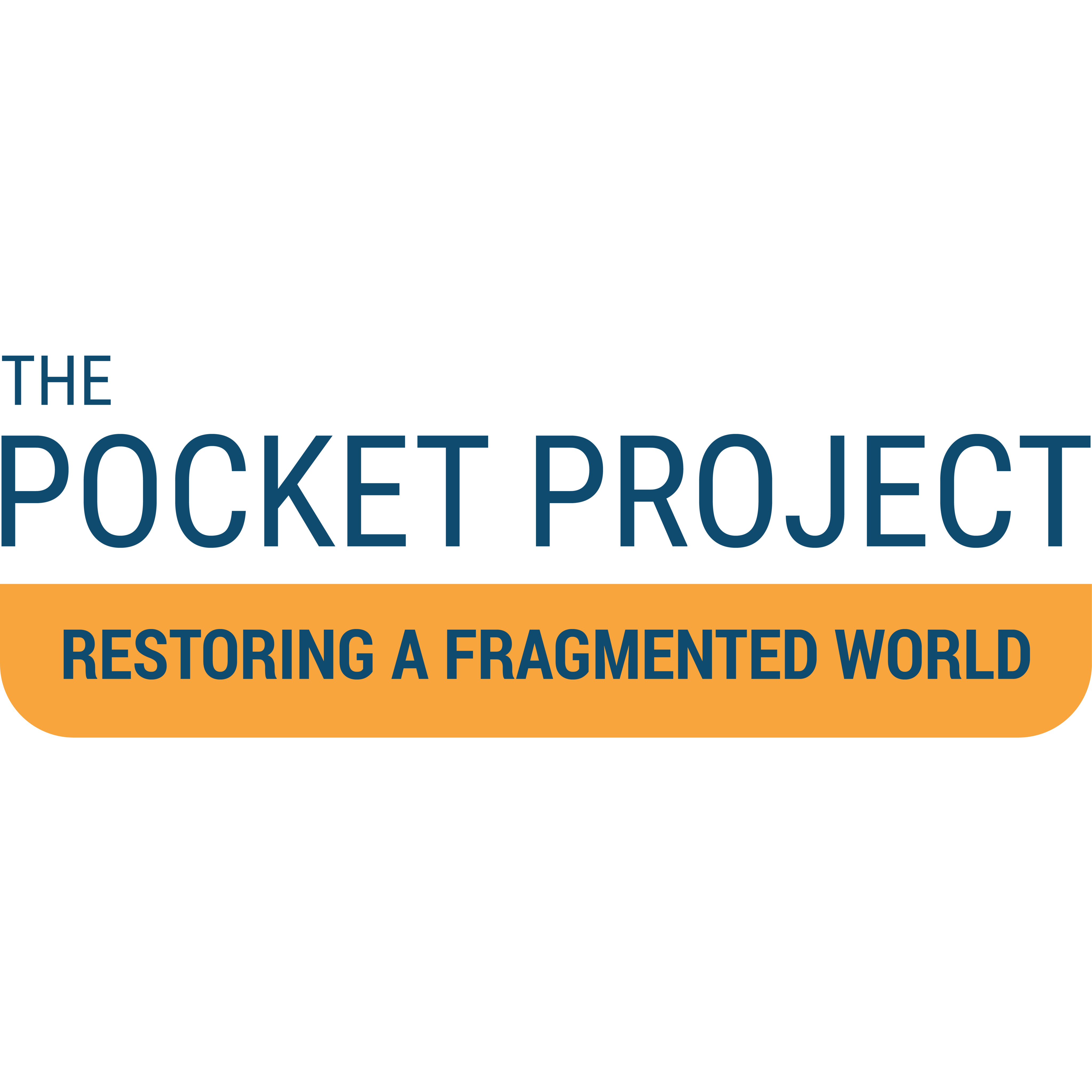 The Pocket Project - Collective and Intergenerational Trauma Integration