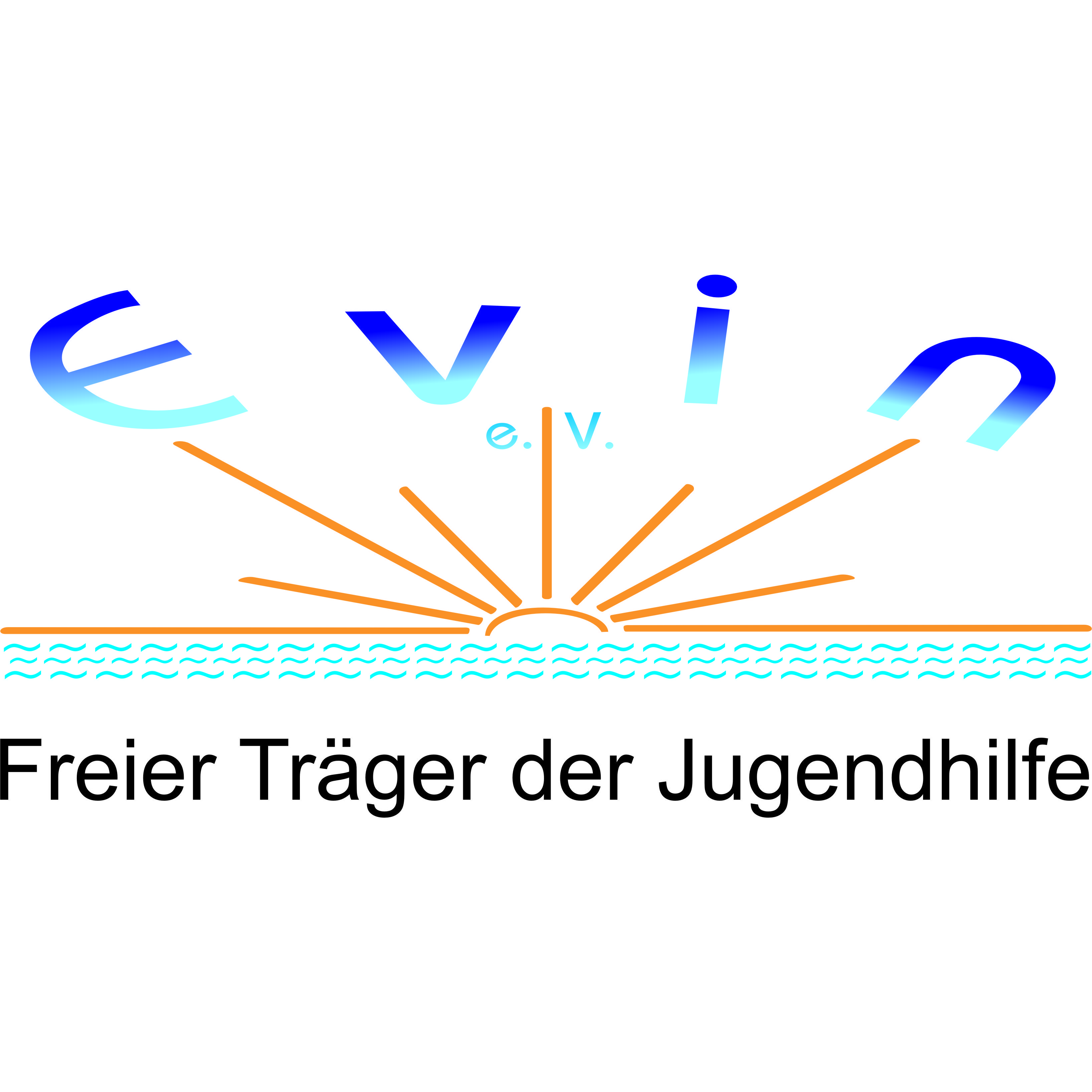 Evin e.V. Spende für unsere Organisation
