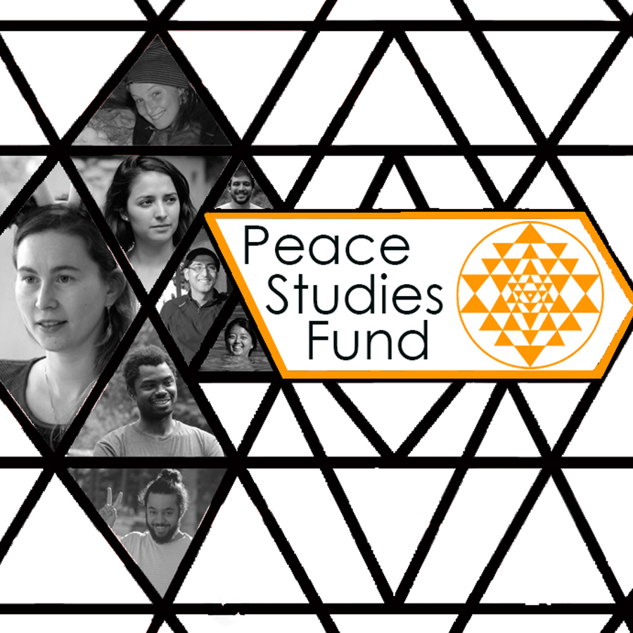 Peace studies