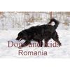 DaK.R e.V Dogs and Kids Romania