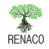 Renaco - Netzwerk für Kinder in Lateinamerika e.V.