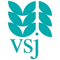 vsj e.V.