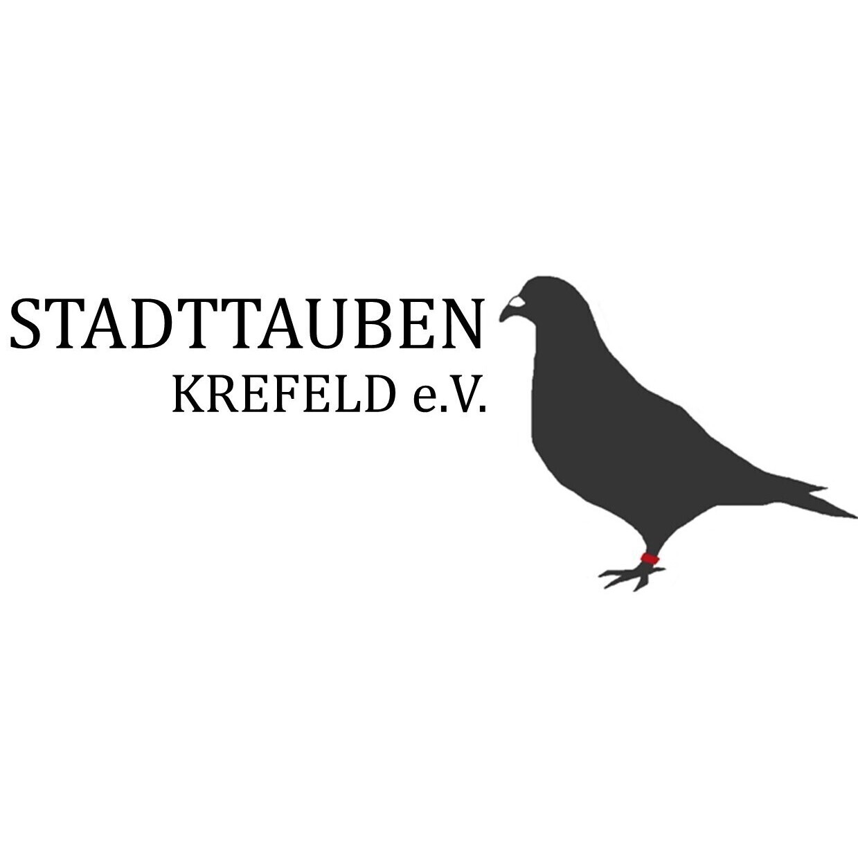 Stadttauben Krefeld E.V. : Spende Für Unsere Organisation (betterplace.org)