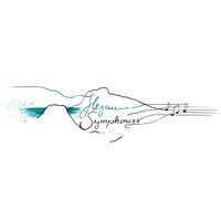 Hegau Symphonixx e.V.