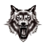Night Wolves Passau e.V.