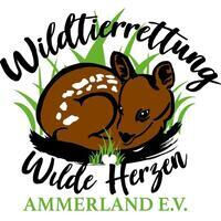Wildtierrettung "Wilde Herzen" Ammerland e. V. 