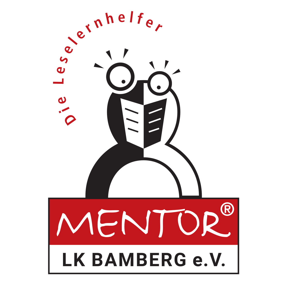 MENTOR DIE LESELERNHELFER visual data 7