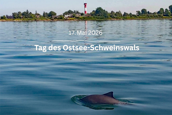 Deutsche Stiftung Meeresschutz - Rettet die Meere🌊 - 388295