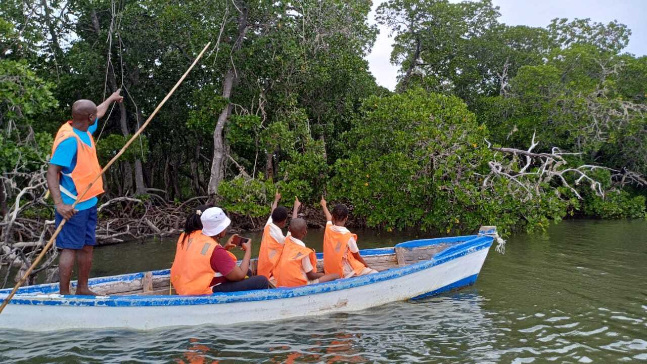 Bitte helft uns, Mangrovenwälder zu schützen und aufzuforsten!