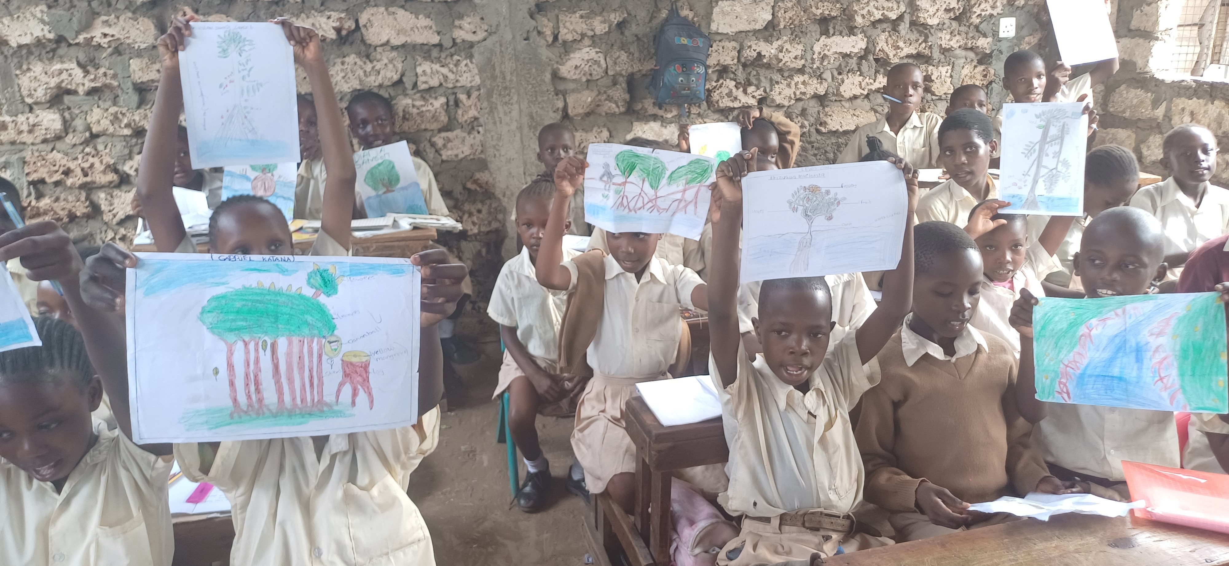 Bitte helft uns, Mangrovenwälder zu schützen und aufzuforsten!