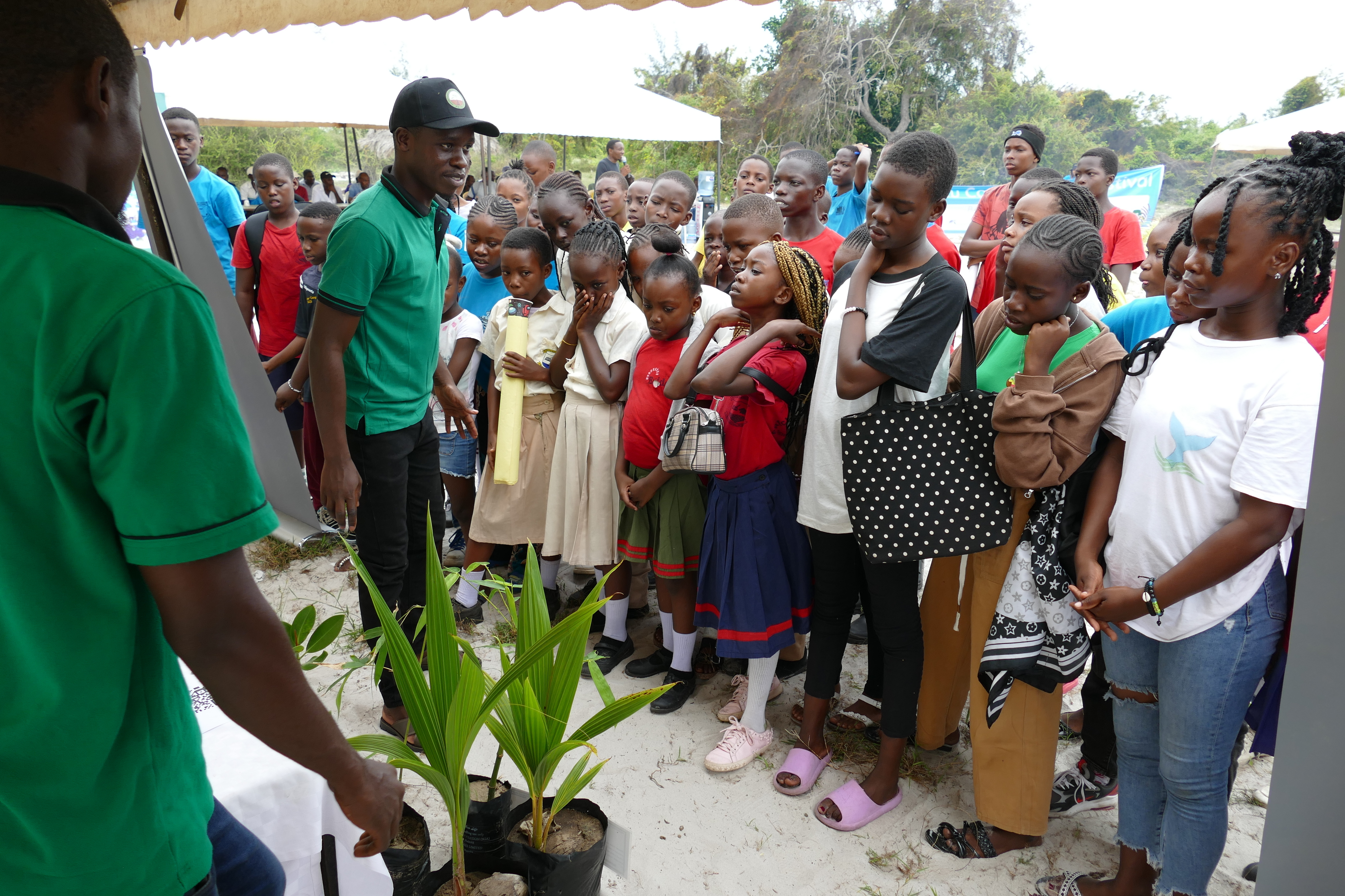 Bitte helft uns, Mangrovenwälder zu schützen und aufzuforsten!