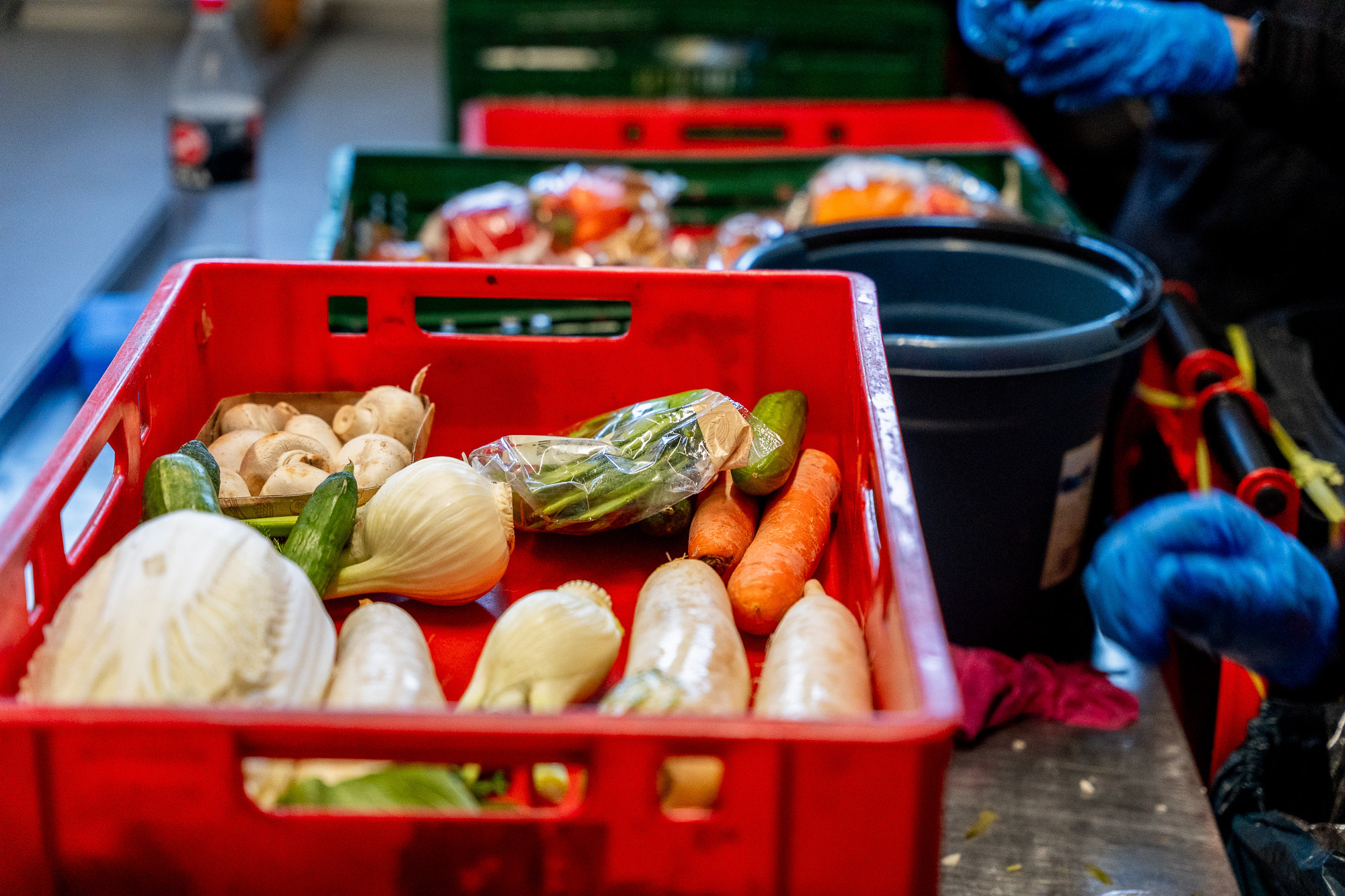 Lebensmittelrettung: Wie Du jetzt den Tafeln helfen kannst - 372426