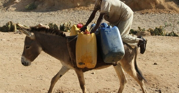 Water for Eritrea – Technik ohne Grenzen . – 