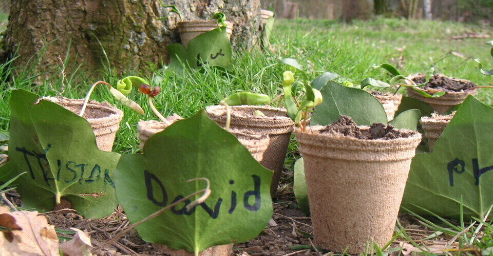 Querwaldein e.V.: Naturerlebnispädagogik und Gärtnern in der Stadt