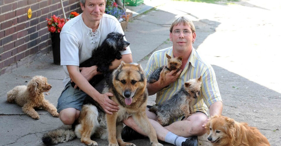 Help with the care and support of elderly animals that can no longer be rehomed