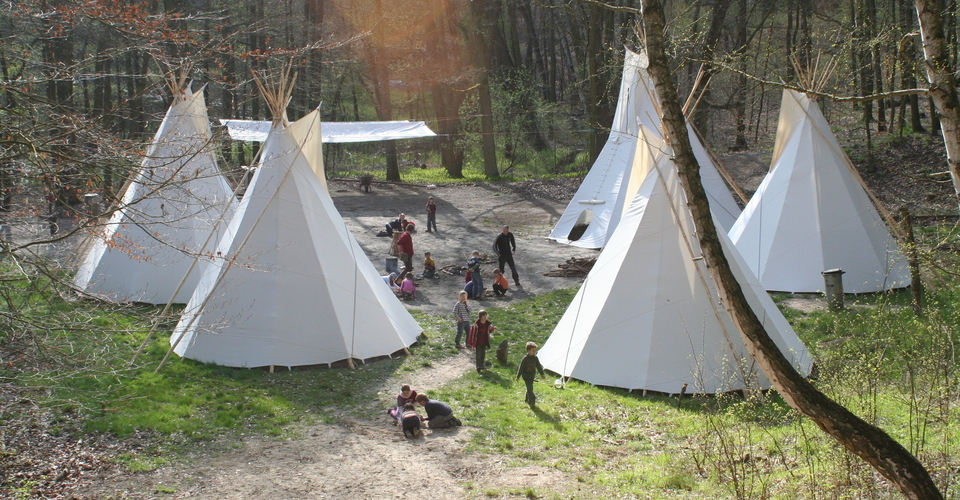 Klassenfahrt In Die Wildnis Verein Naturschutzpark Markische Schweiz E V Betterplace Org