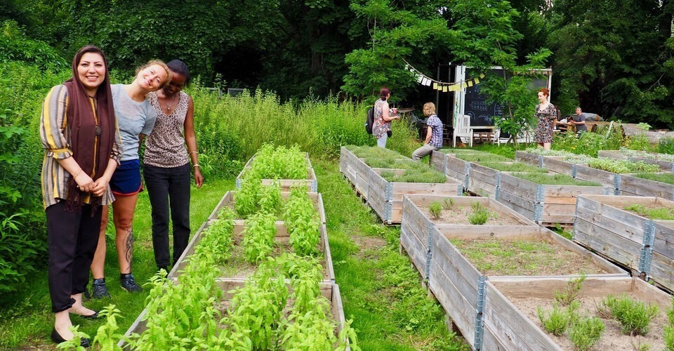 Medicinal herb garden "Hevrin Xelef" *Flamingo e.V.