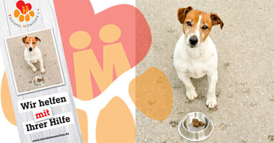 Special food and veterinary cost subsidies for Munich cats and dogs