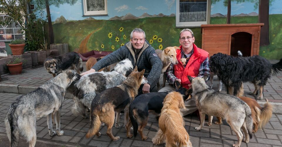 Ein neues Domizil für gestrandete tierische Grauschnauzen,Hospiz und Heim