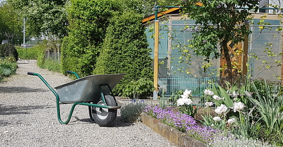 Sanierung unseres WC und Gerätehauses Garten und Blumenfreunde