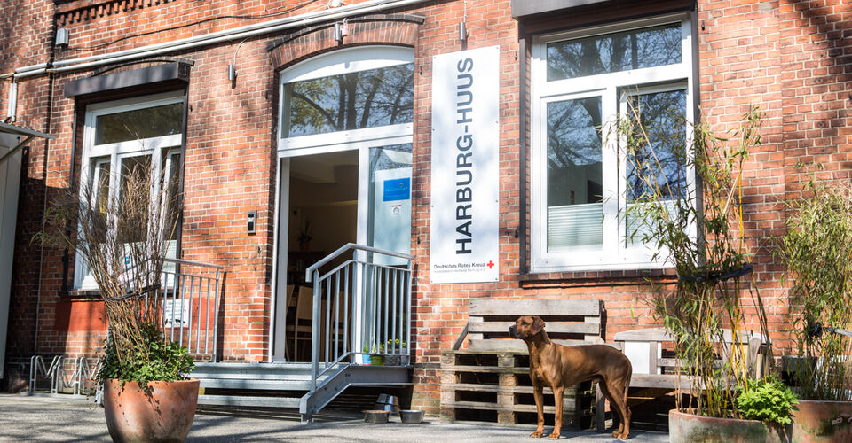 Harburg-Huus – Unterstützung für obdachlose Menschen mit Hund