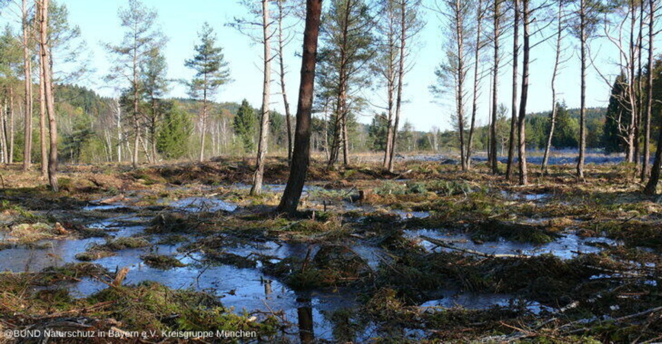 Klimaschutz im Deininger Moos