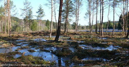 Klimaschutz im Deininger Moos