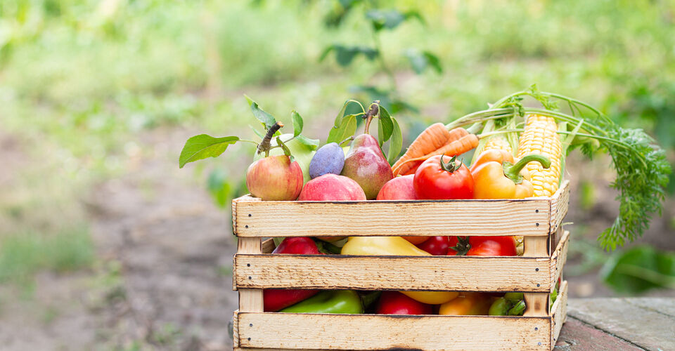 Fruit and vegetable box for seniors in need