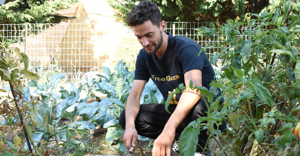 Habibi works community garden