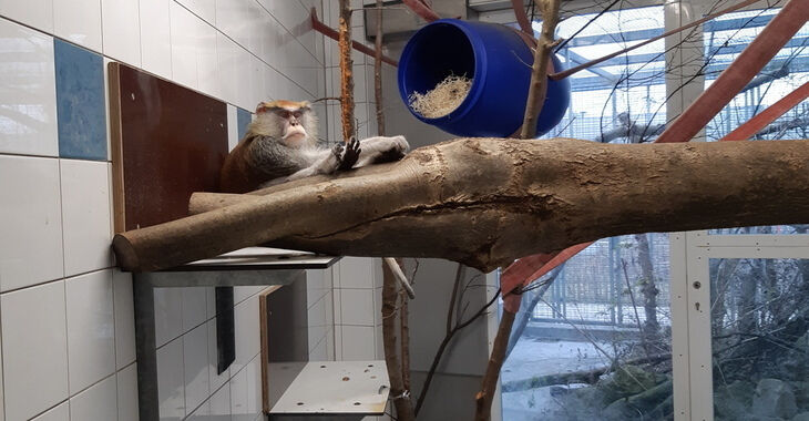 Auffangstation für Reptilien, München e. V.: Spende für unsere ...