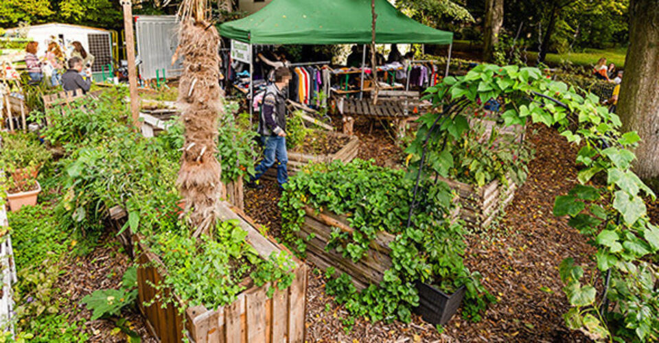Donations for the community garden "Tortuga Eschersheim"