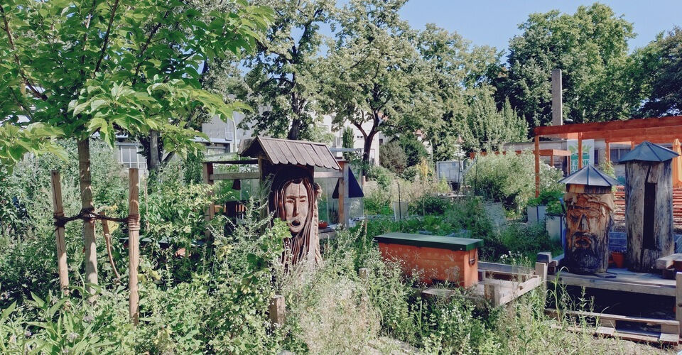 Neue Lebensräume den Bienen zuliebe Bienenbaum Neuer Frankfurter Garten