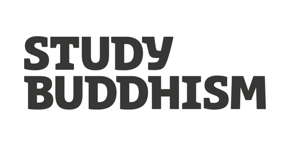 Study Buddhism