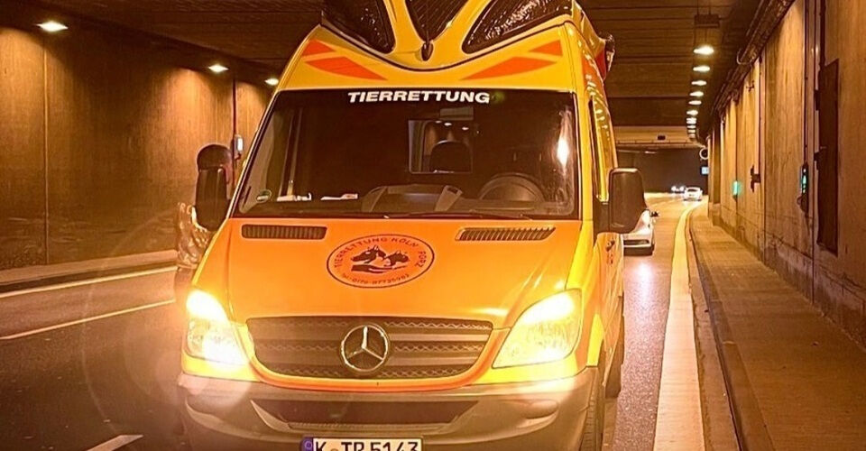 Equipment for the Animal Rescue Köln-Porz