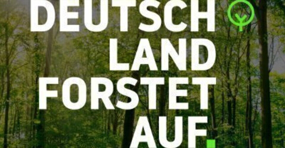 Further development of Deutschland Forstet Auf gUG