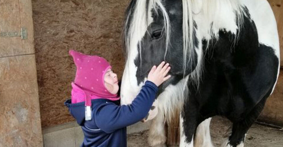 Collecting surgery costs for therapy horse Kirby together!