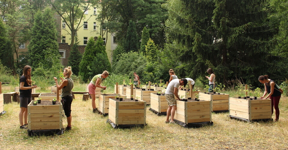 Prinzessinnengarten - niedrigschwellige Bildung und Teilhabe durch Gärtnern