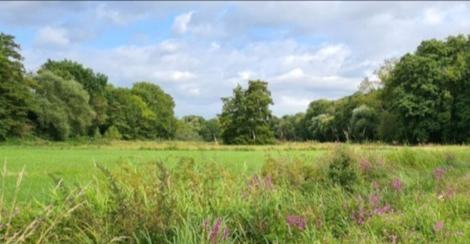 Help us create a paradise for birds, insects and amphibians.