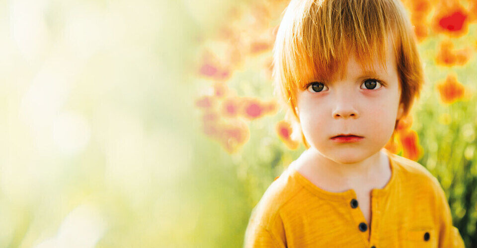 Donations for families in need. A ray of hope for families