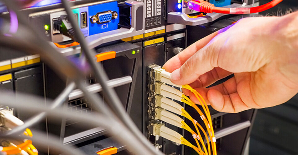 Entwicklung der MSH im Bereich Bildung und IT