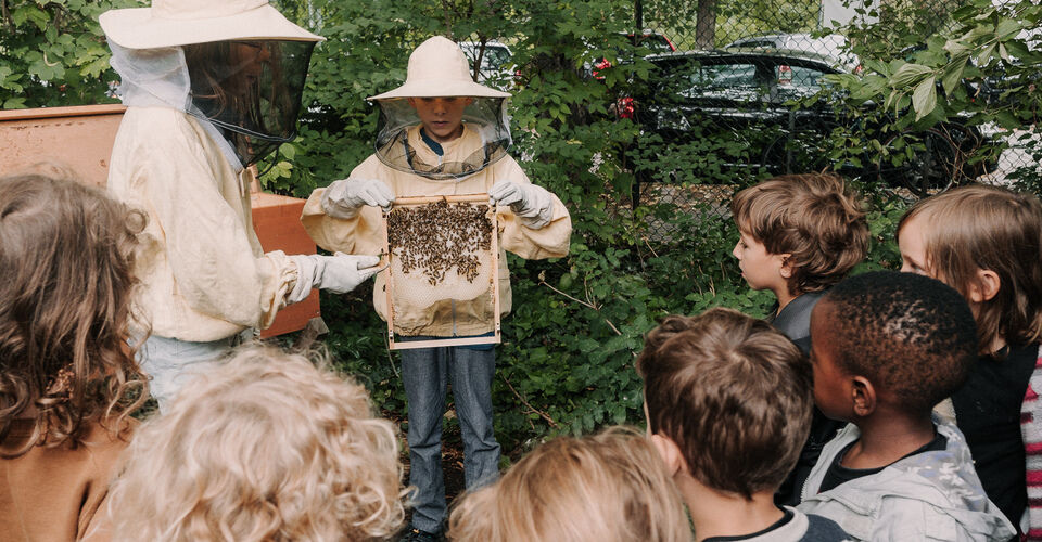 Schulbienen – Kinder mit Bienen für die Natur begeistern