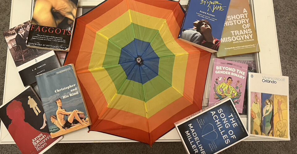 Support the Future of LGBTQ+ Books: QueerLuxVis Launches!