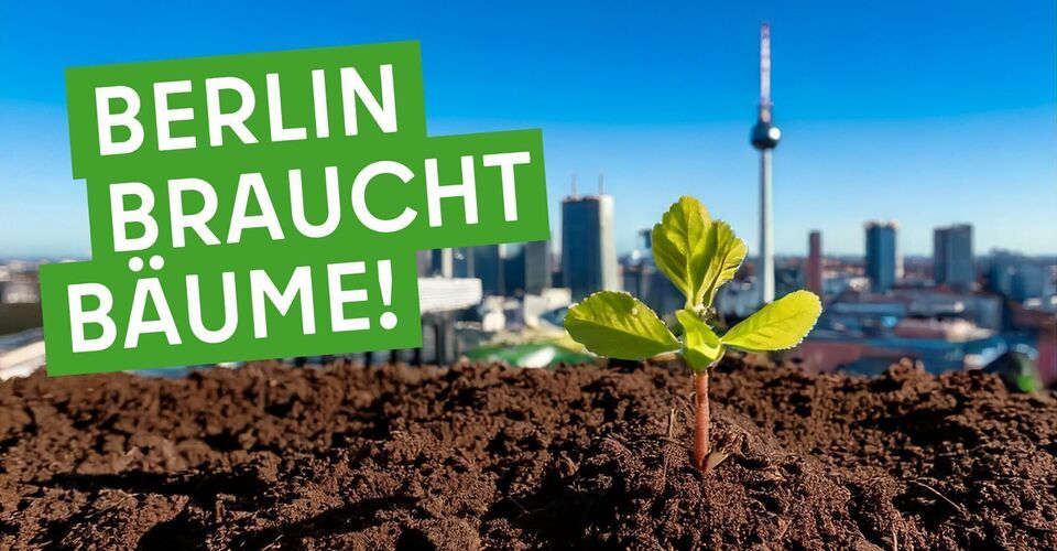 20 small primeval forests for Berlin